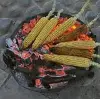 علوم دوم ابتدایی کتاب درسی: نسخه 1402 صفحه 57 سوال 1