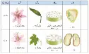 علوم نهم کتاب درسی: نسخه 1402 صفحه 137 سوال 1