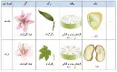 علوم نهم کتاب درسی: نسخه 1402 صفحه 137 سوال 1
