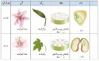 علوم نهم کتاب درسی: نسخه 1402 صفحه 137 سوال 1