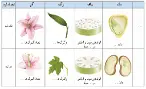 علوم نهم کتاب درسی: نسخه 1402 صفحه 137 سوال 1