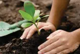 هدیه‌های آسمان دوم ابتدایی کتاب درسی: نسخه 1402 صفحه 79 سوال 1