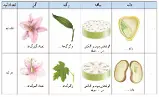 علوم نهم کتاب درسی: نسخه 1402 صفحه 137 سوال 1