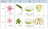 علوم نهم کتاب درسی: نسخه 1402 صفحه 137 سوال 1