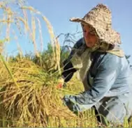 عربی هشتم کتاب درسی: نسخه 1402 صفحه 40 سوال 2