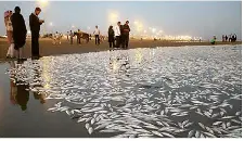 علوم دوم ابتدایی کتاب درسی: نسخه 1402 صفحه 18 سوال 1