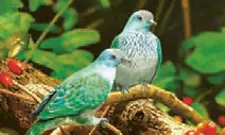 عربی نهم کتاب درسی: نسخه 1402 صفحه 14 سوال 1