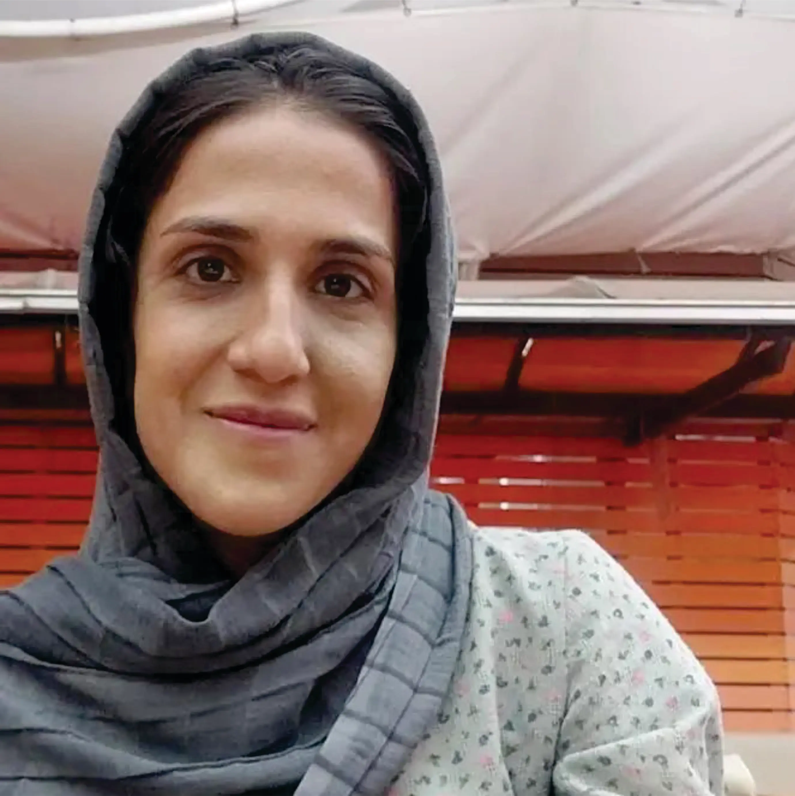 سید محدثه عمادی